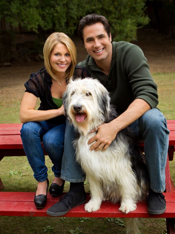 Puppy Love (2012) Trailers Reviews Synopsis Showtimes and Cast